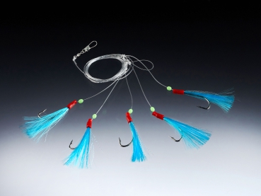 BALZER Edition 71° North - Seelachssystem Köhlersystem  - blau